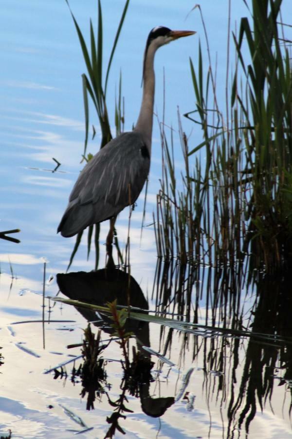 Marshlands Lakeside Nature Retreat Barton-upon-Humber Екстериор снимка